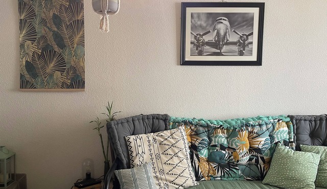 Petit Appartement Douillet