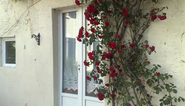 Petit Cerisier (1 Bedroom - sleeps 4)