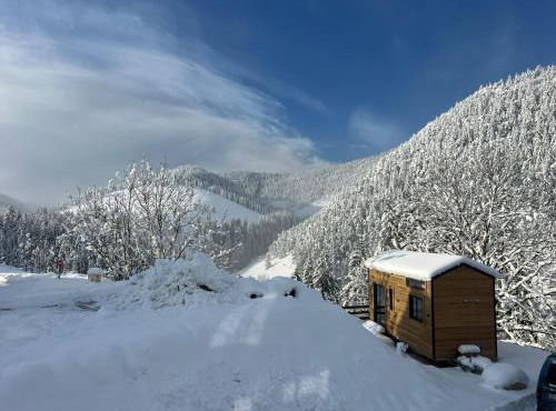 Petit chalet Cosy