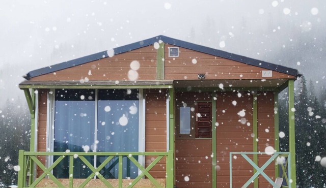 Petit Chalet en Plein Cœur de la Cerdagne. Animaux Acceptés !