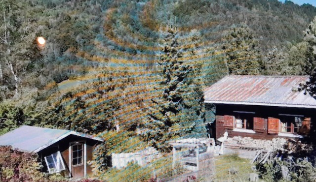 Petit Chalet Authentique