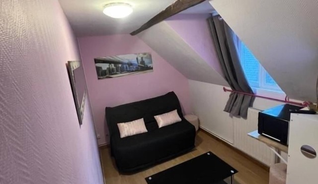 Petit F2 Fonctionnel Plein Centre et Proche Gare