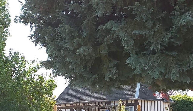 Petit Gîte de Charme Normand