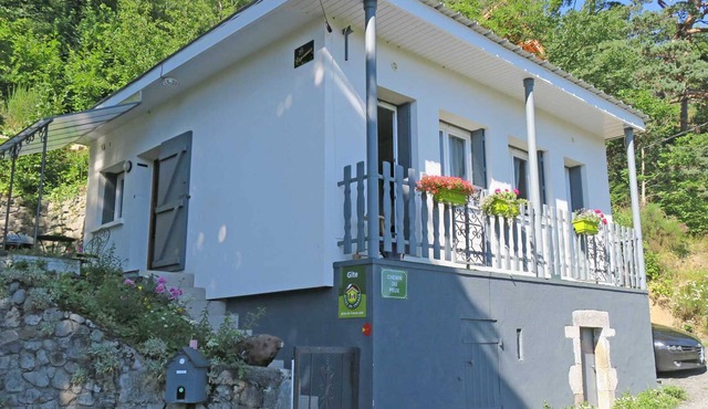 Petit Gite au Bord du lac Chambon