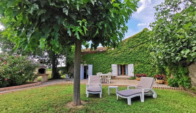 Petit Grain - ABEILHAN