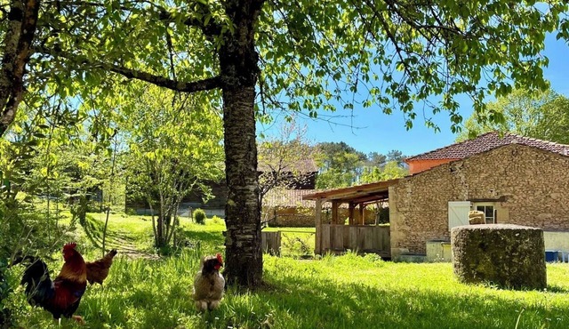 Petit Maison a la Ferme; Terrasse Couvert, Jacuzzi, Cuisine Exterieur