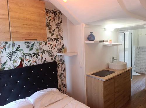 Petit studio Parisien - Quartier arais