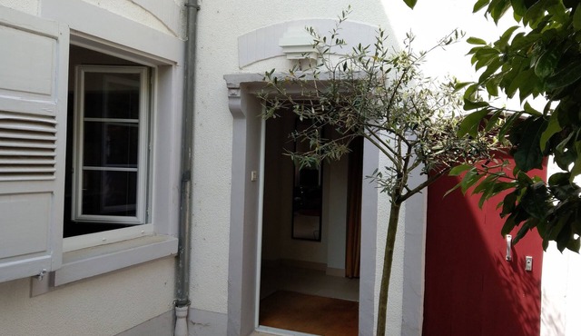 PETITE AILE SUD, STRASBOURG - SCHILTIGHEIM