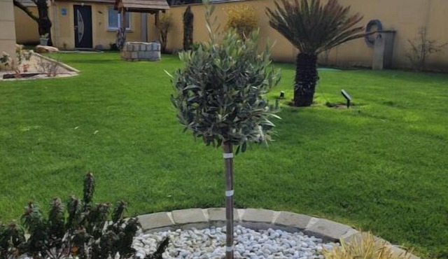 Petite Dépendance Privée