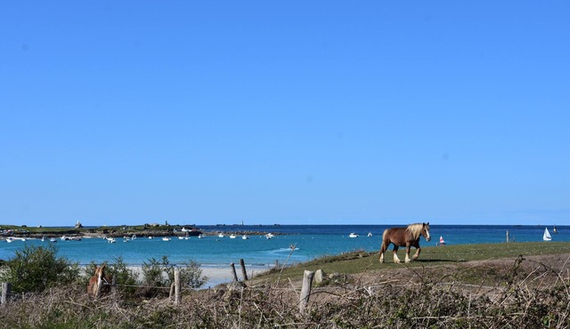 Petite Maison Ancienne Récemment Rénovée à Proximité des Plages et du Gr34