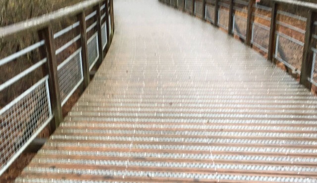 Petite Maison Atypique