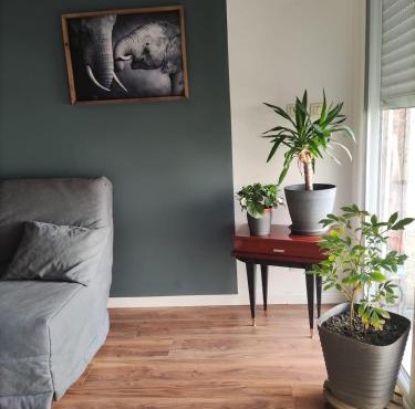 Petite maison avec cour privative