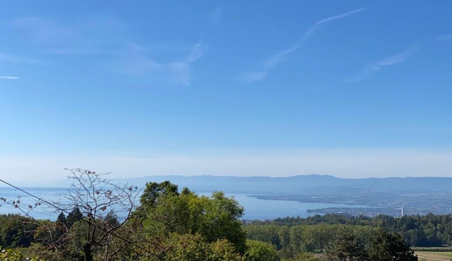 Petite maison à l'orée des bois vue magnifique sur le lac zenitude et plénitude