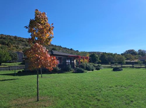 PETITE MAISON EN BOIS