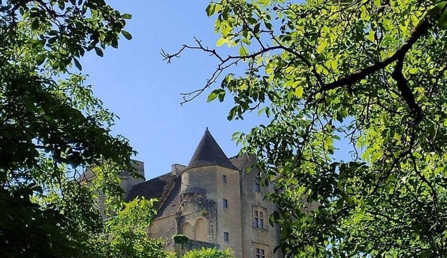 Petite Maison au Coeur du Périgord Noir
