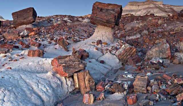 Petrified National Forest/Meteor Crater near Holbrook,AZ