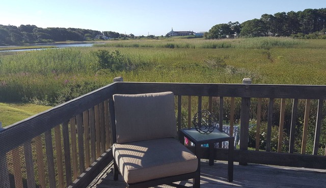 Pets allowed with warmer weather around the corner! Plan your Cape Cod vacation!