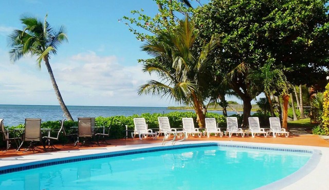 Pets Are Welcome at Hotel Molokai! Ocean View Suite with Balcony, Outdoor Pool!