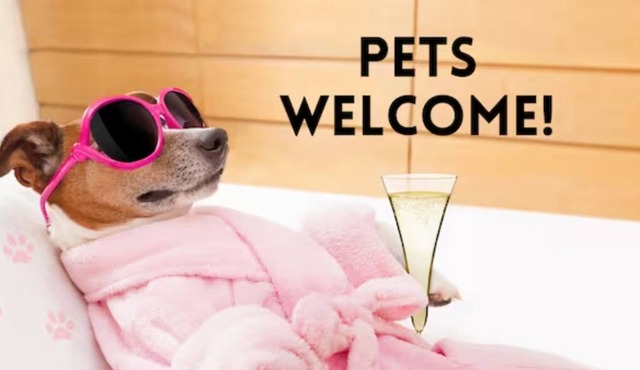 Pets Ok! Close to Pearl-Ft Sam-Riverwalk-Alamo