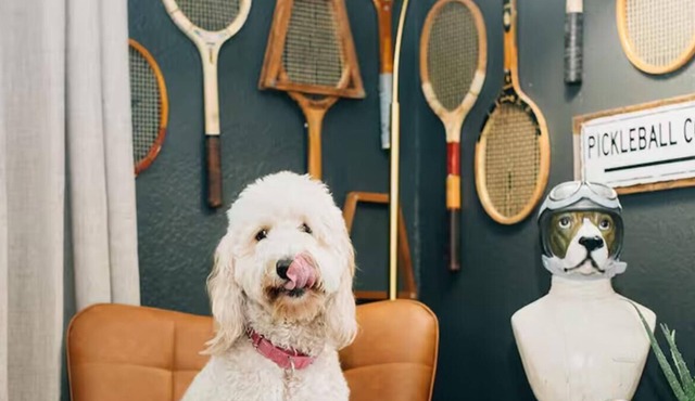 Pets + Pickleball! with a Private Backyard Pickleball Court [Sleeps 10]
