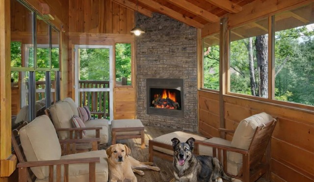 Pets welcome! | Theater room | Hot tub
