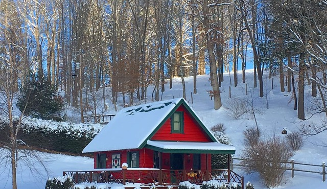 Petting Zoo! HOT TUB, Zip Lines, 20+ acres & Trout Stream - Everything!!!