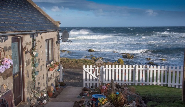 Pew with a View - Pet Friendly seafront cottage, secure shorefront garden