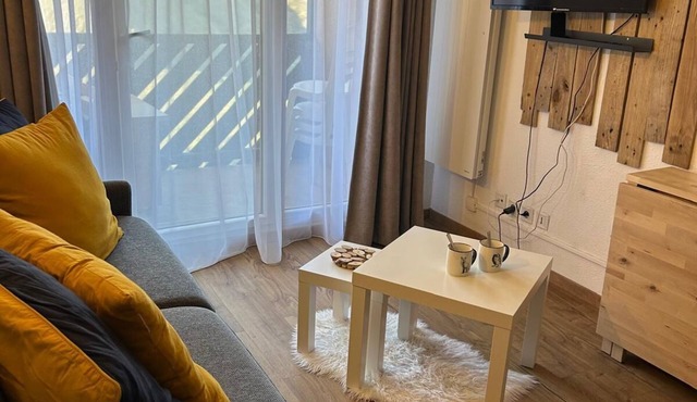 Peyragudes Cosy studio with mountain view (Peyresourde/Loudenvielle slope)