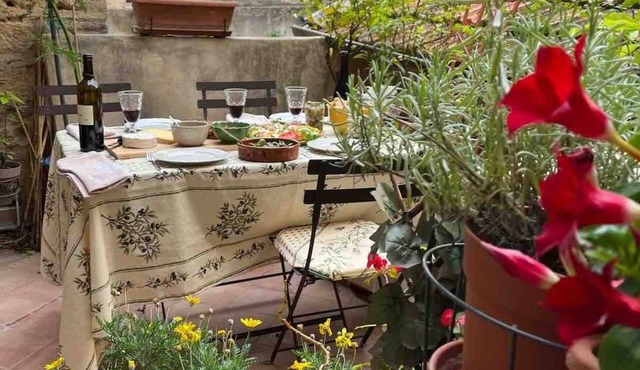Pezenas apartment - elegant & spacious with charming terrace in historic centre