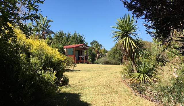 Phar Lap Tree Cottage - A Winter Retreat with Breakfast Included