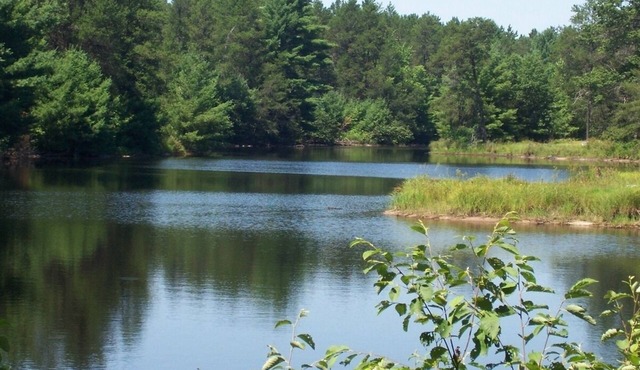 Pheasant Cottage- Cottages On Serenity Lake- has best view of Serenity Lake!