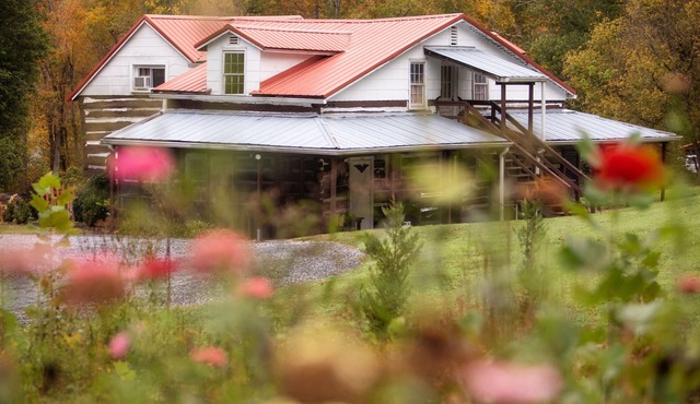 Pheasant Tail | Cabin on the South Holston River