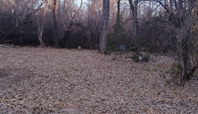 Phenomenal 1-bedroom campground next to the river in pleasant Santa Cruz.
