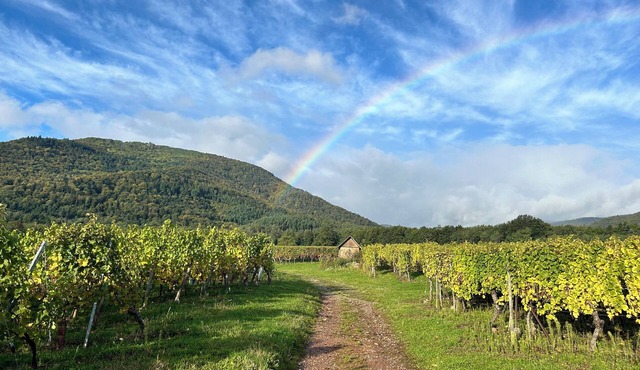 Phil’Audelà Small haven of peace of 50 m2 in a small Alsatian village.