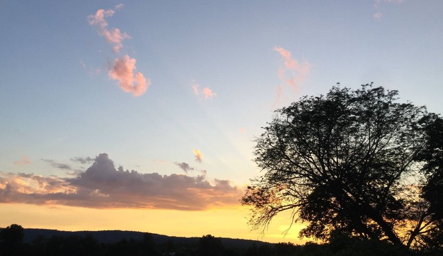 Phillie's Country Comfort Space- New Paltz, N.Y.