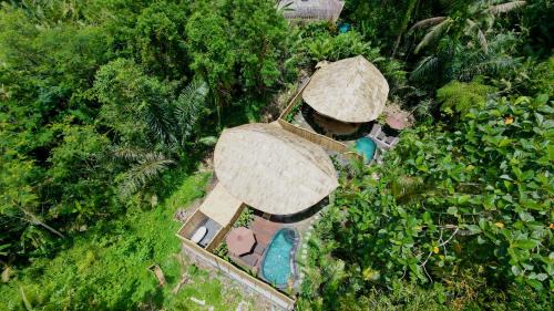 Phoenix Bamboo House by Ecobreeze