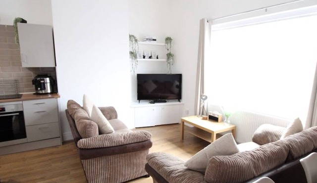 Phoenix Rise Summary: