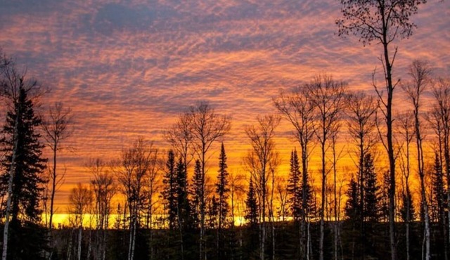 Phoenix Rising Off-Grid Amish crafted log cabin near the BWCA & SHT - Sled Dogs!