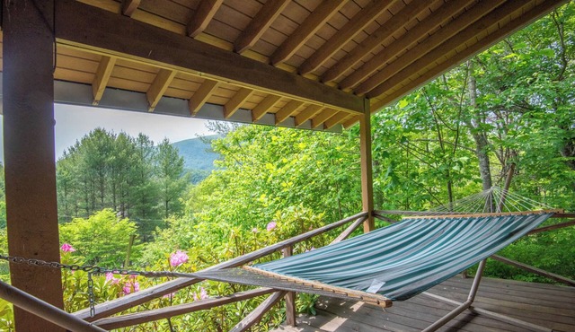 Phoenix Rising + Views + Private + Wi-Fi + Minutes to Lansing