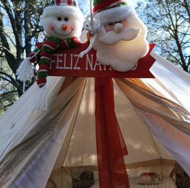 Piñoneras del cóndor