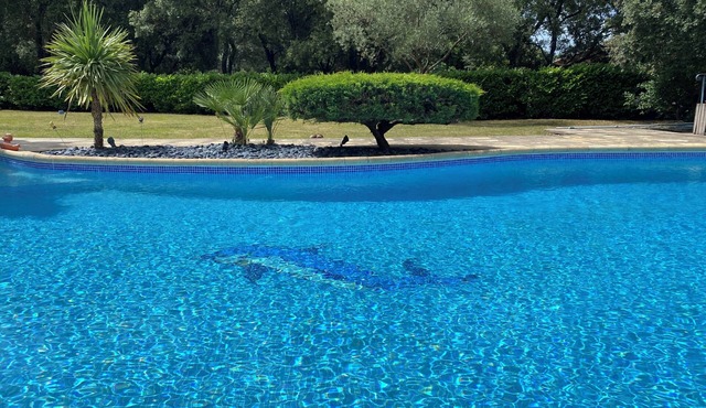 Pic Saint-Loup view and swimming pool - Quiet gîte