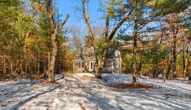 Pickles Cabin in the Woods, Pet Friendly, near Lake Petenwell