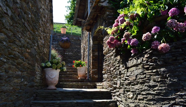 Picturesque family house (3 bedrooms-private pool) Nat des Cévenne Park