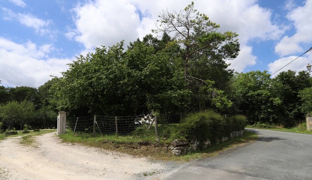 Picturesque 5 bedroom house with pool - Dodo et Tartine