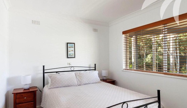 Picture perfect Lizzie Palms 2