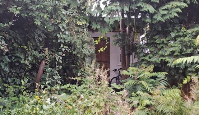 Picturesque City Cabin modern Professional Market, near busses, tube and shops