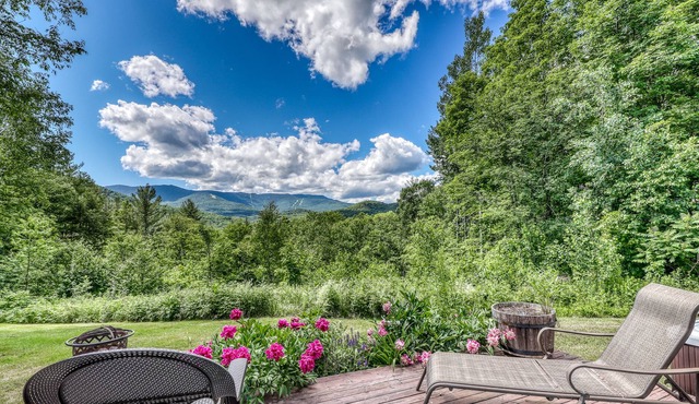 Picturesque dog-friendly cottage with kitchen, mountain view & deck- near skiing