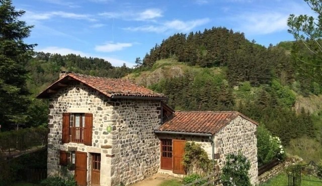 Picturesque house in Arlempdes with fireplace and terrace