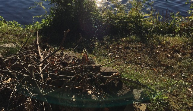 Picturesque lakefront property