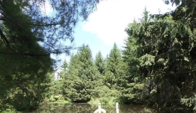 Picturesque Lakeside Cottage Nearby Hunter/Windham